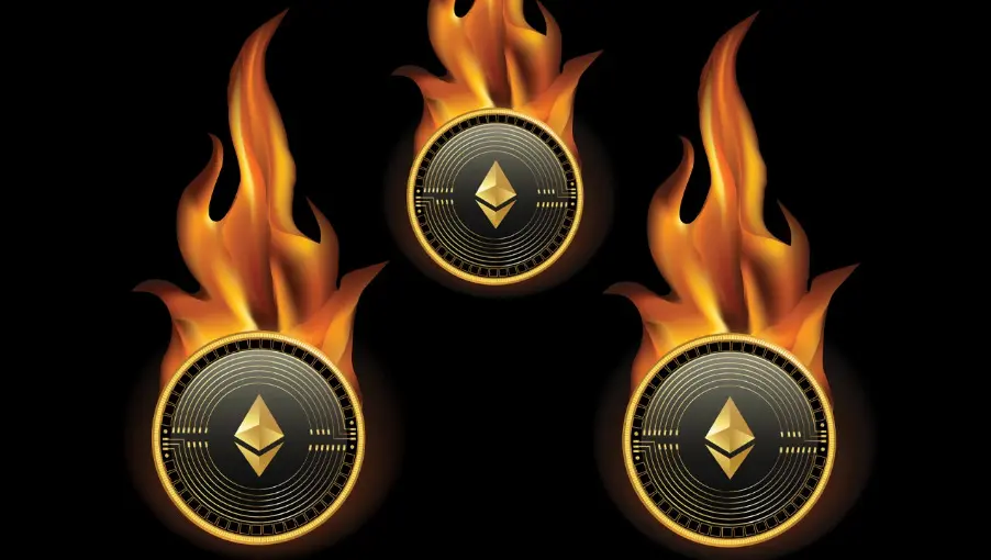 Ce este special la Cardano