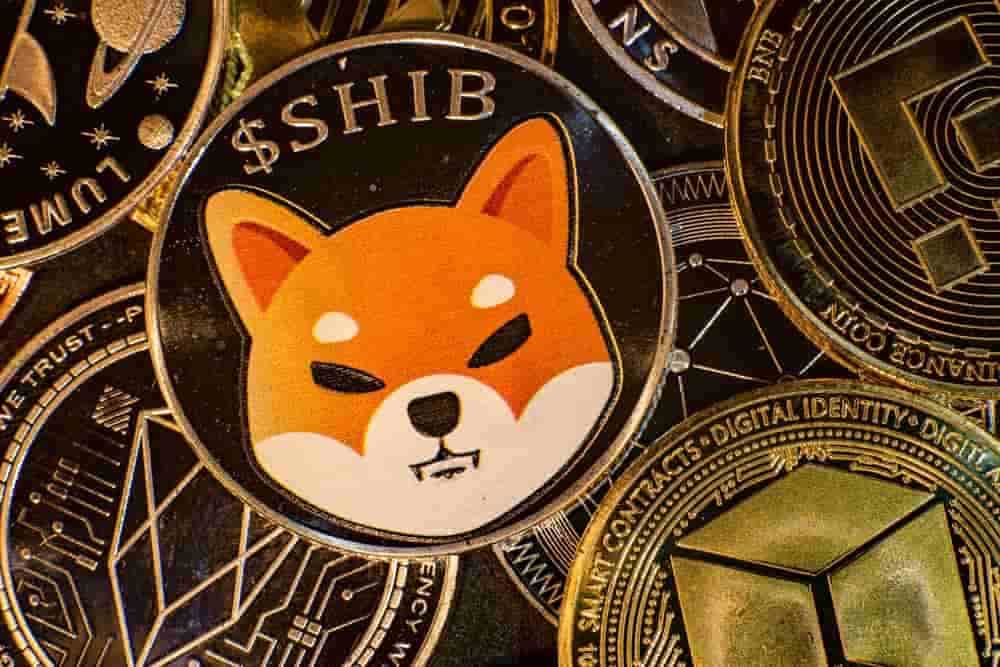 cripto Shiba Inu și Dogecoin