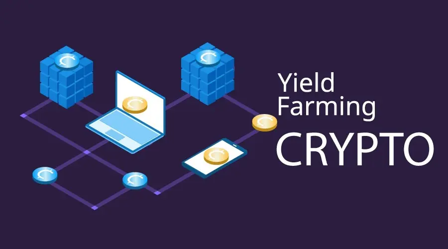 Este cripto-agricultură periculoasă?