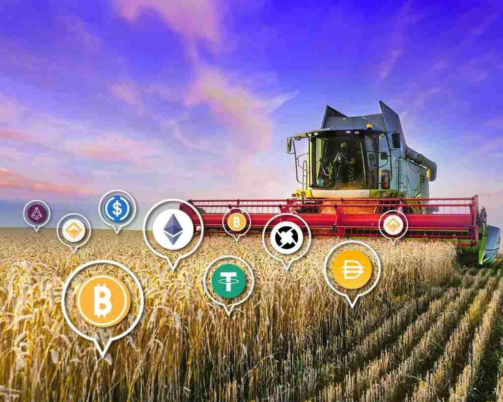 Ar trebui să mă ocup de agricultură sau să pariez?