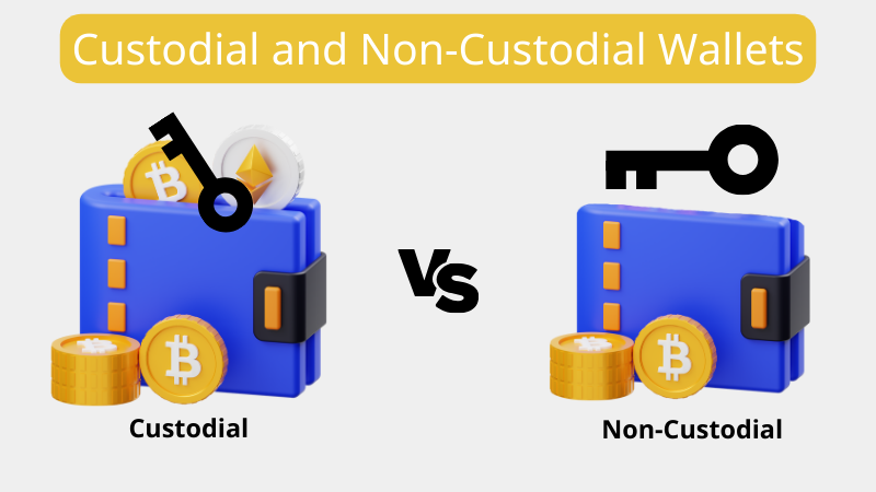 Portofelul cu custodie vs portofelul fără custodie