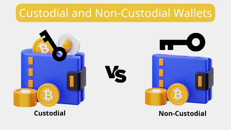 portofel custodial vs portofel non custodial